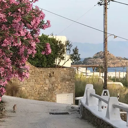 Klaras House 아파트 *